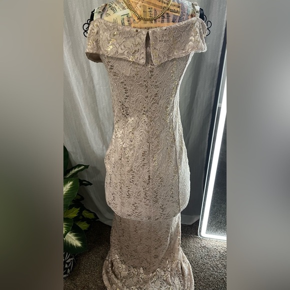 Cachet Sequin Lace Gown in Tan and Gold - Picture 4 of 10